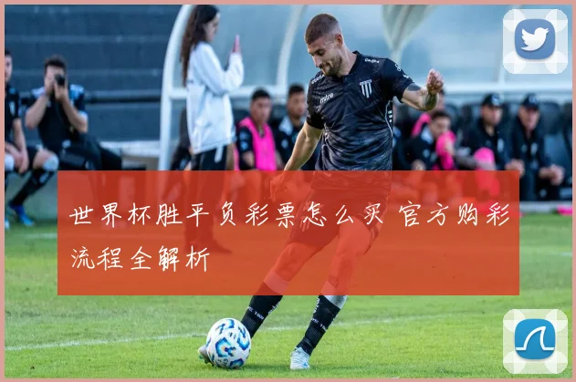 世界杯胜平负彩票怎么买 官方购彩流程全解析