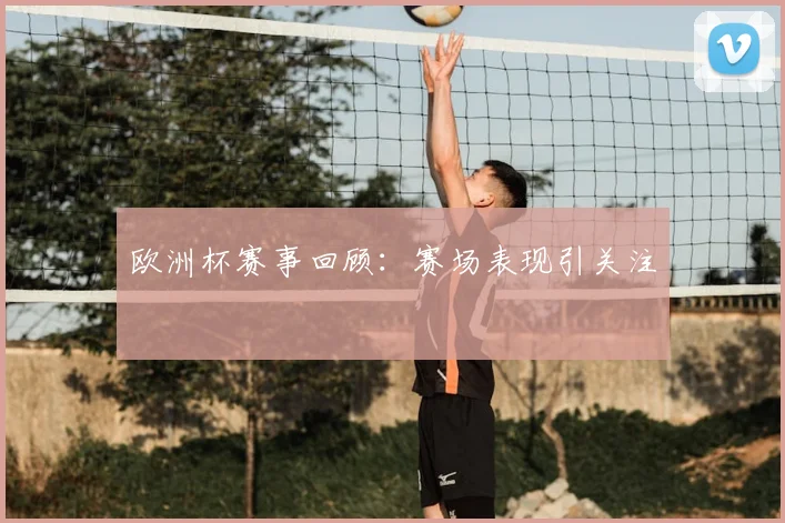 欧洲杯赛事回顾：赛场表现引关注