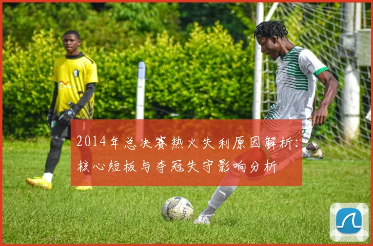 2014年总决赛热火失利原因解析：核心短板与夺冠失守影响分析