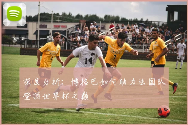 深度分析：博格巴如何助力法国队登顶世界杯之巅