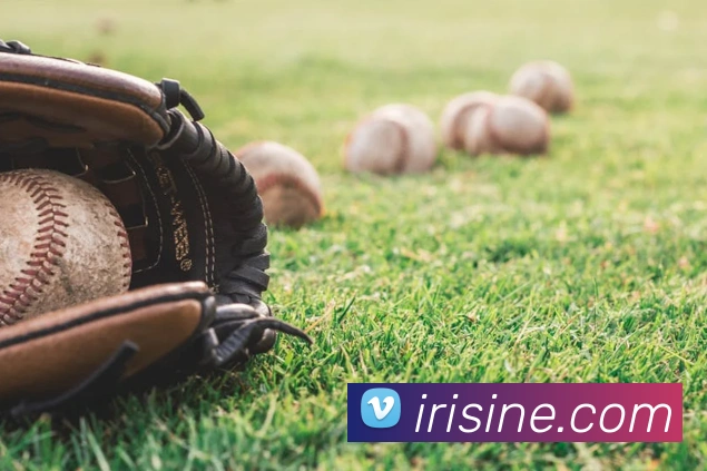 开云在线登录入口官网发展历程